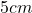 5cm
