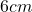 6cm