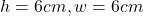 h = 6cm, w = 6cm